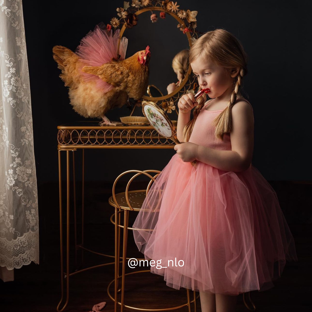 Prima ballerina dress