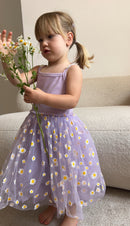Daisy ballerina dress (Sizes: 6M- 3Y)