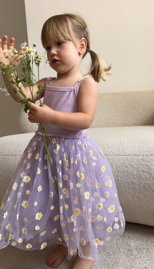 Daisy ballerina dress (Sizes: 6M- 3Y)