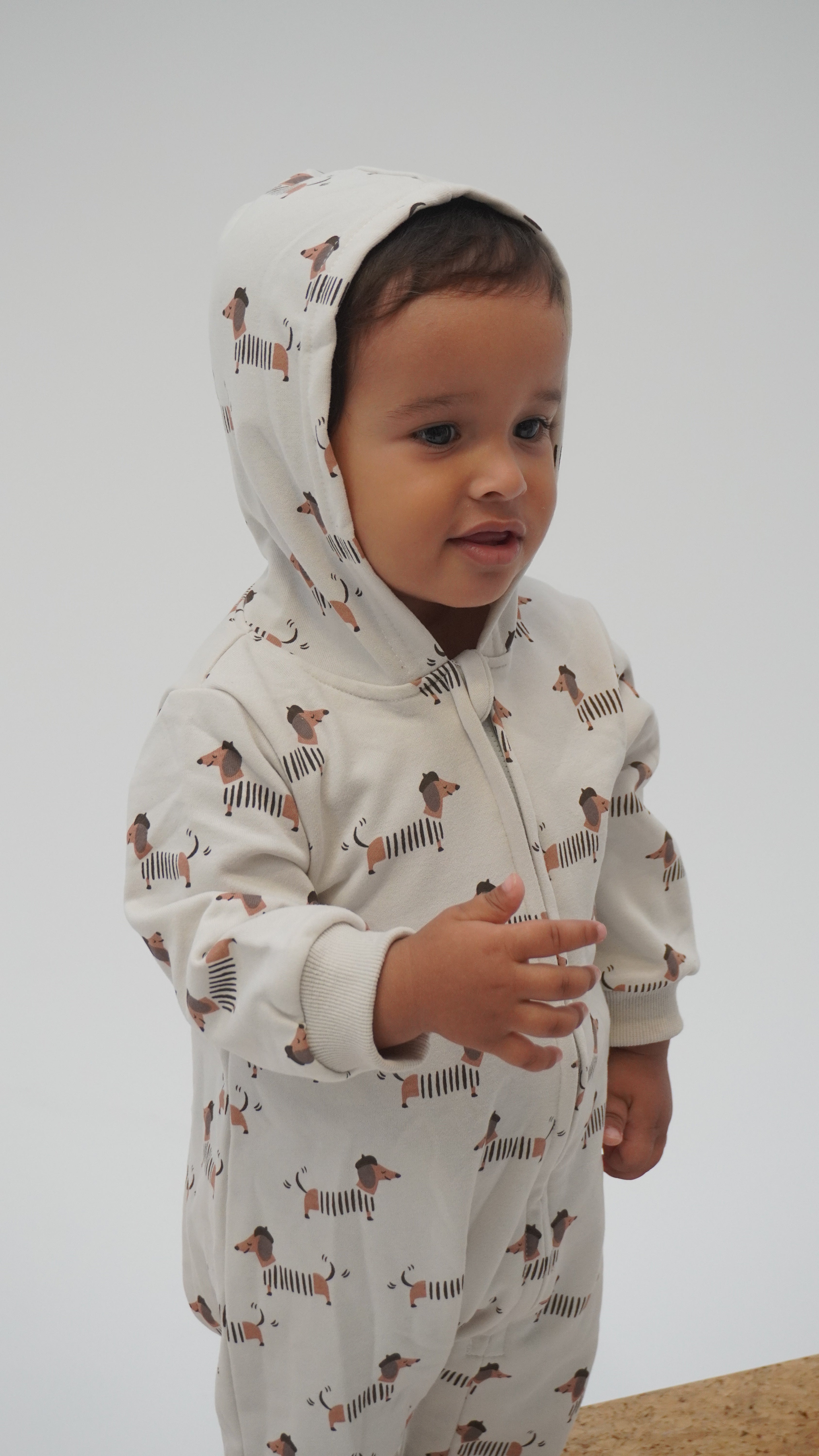 Mr. Dog Hooded Onesie