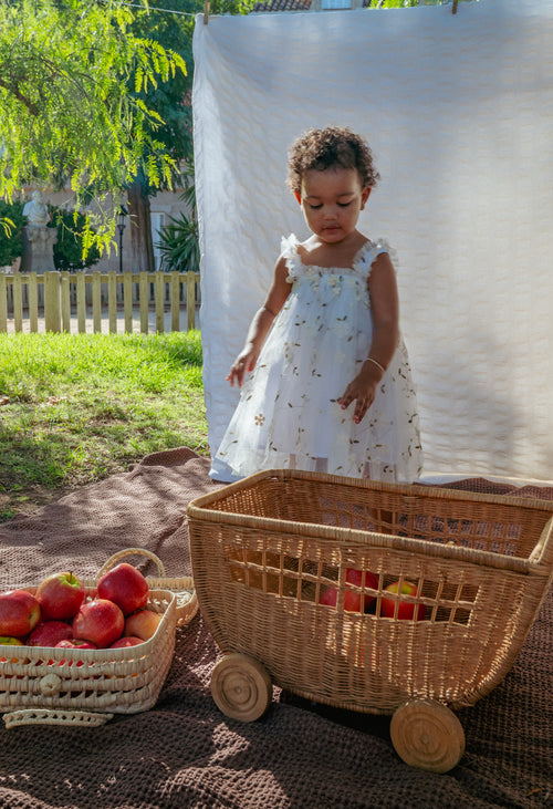 Blossom Tulle Dress