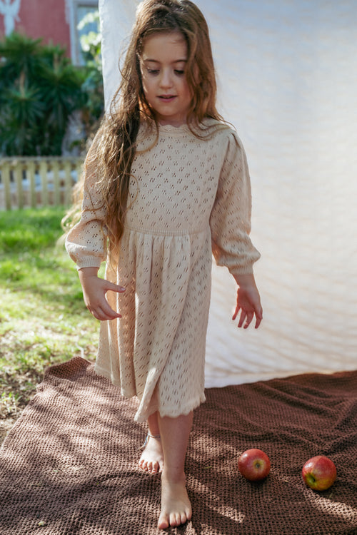 Lila Lace Knit Dress