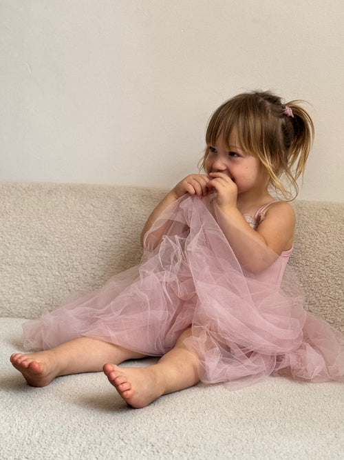 Butterfly tulle Dress