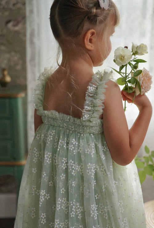 Jasmine Tulle Dress