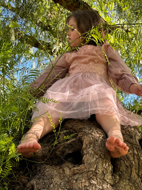 The princess dress