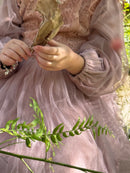 The princess dress