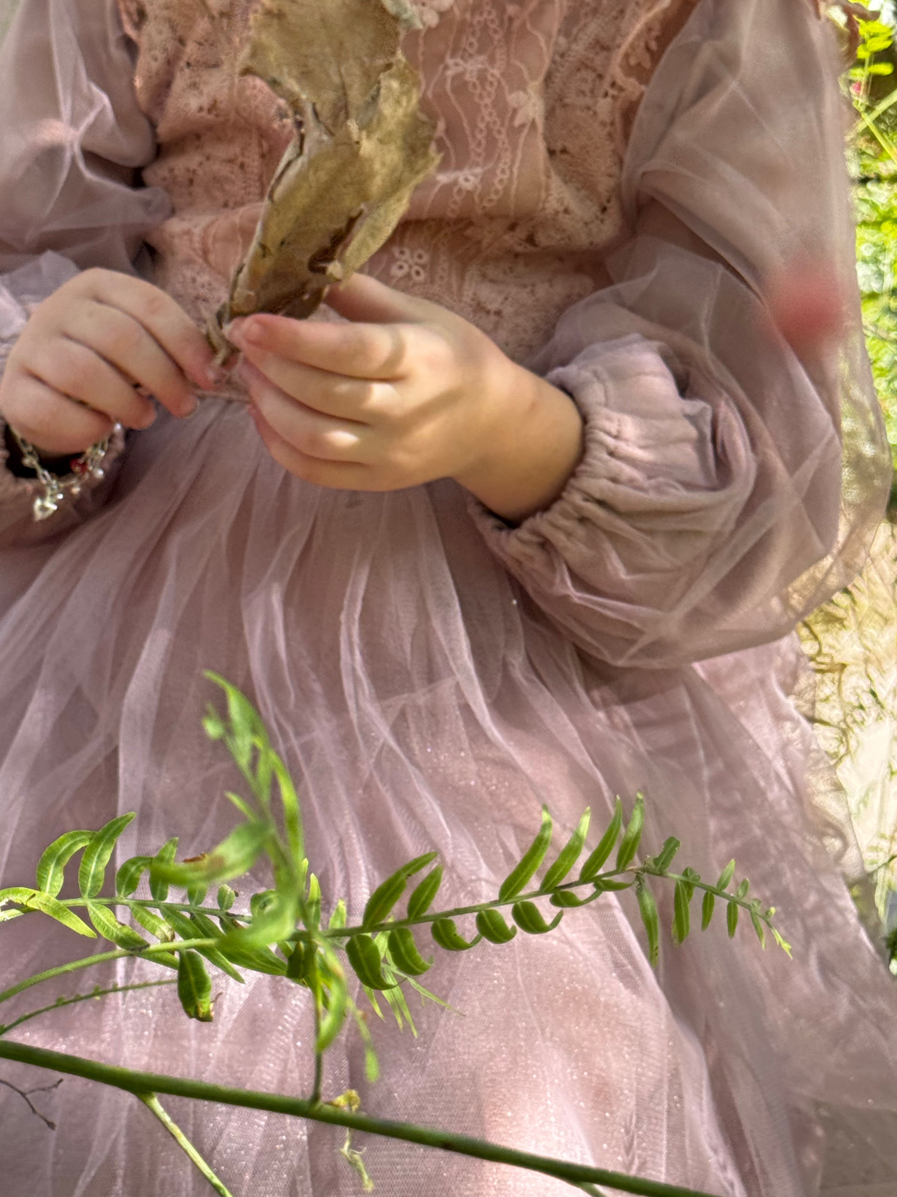 The princess dress