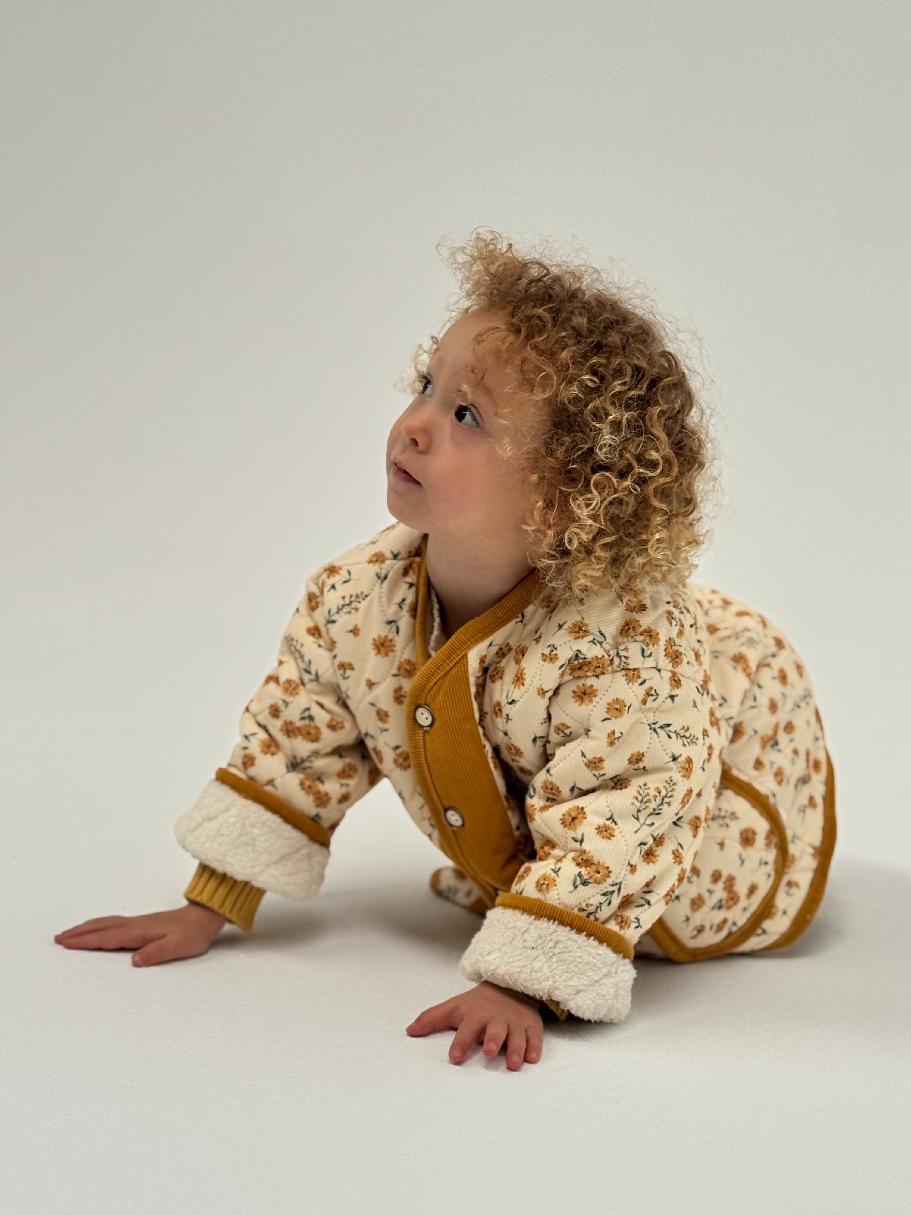 Mustard / 24 Months
