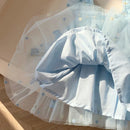 Butterflies Tulle Dress