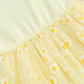 Daisy ballerina dress (Sizes: 6M- 3Y)