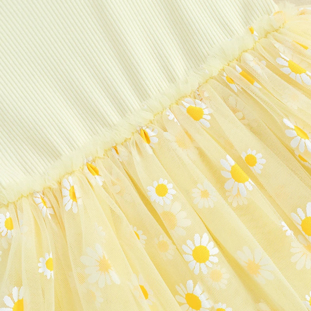 Daisy ballerina dress (Sizes: 6M- 3Y)