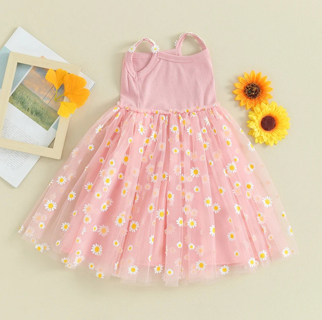 Daisy ballerina dress (Sizes: 6M- 3Y)