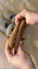 Tiny Soft Teddies
