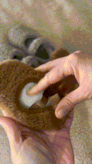 Tiny Soft Teddies